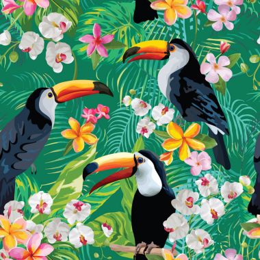 Tropik çiçekler ve Toucan kuşlar arka plan