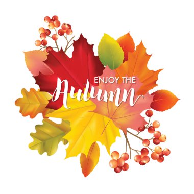 Renkli kart veya afiş metin için yer ile vektör yaprak ile