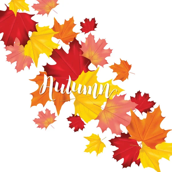 Carte ou bannière colorée avec feuilles d'automne dans le vecteur avec place pour le texte — Image vectorielle