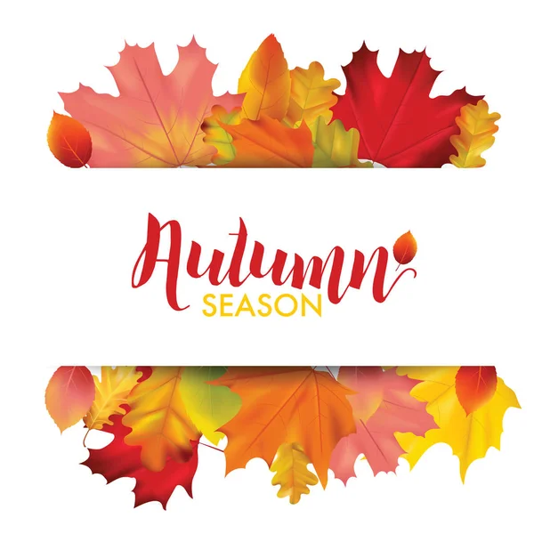 Renkli sonbahar yaprakları vektör çerçeve metin için yer ile