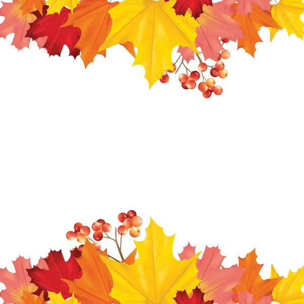 Renkli kart veya afiş metin için yer ile vektör yaprak ile