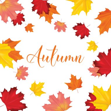 Renkli kart veya afiş metin için yer ile vektör yaprak ile