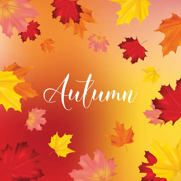 Kleurrijke kaart of Banner met herfstbladeren in Vector met plaats voor tekst — Stockvector