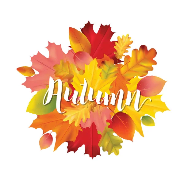 Colorido Outono Folhas Ilustração Design em Vetor com lugar para Texto — Vetor de Stock