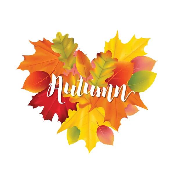 Colorido diseño de ilustración de hojas de otoño en vector con lugar para texto — Archivo Imágenes Vectoriales