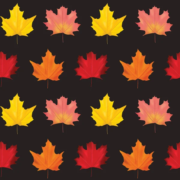 Seamless Colorful Autumn Leaves Background Pattern in Vector — Stock Vector
