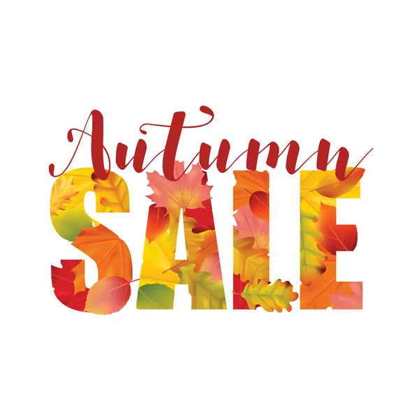 Carte de vente colorée ou bannière avec feuilles d'automne en vecteur avec place pour le texte — Image vectorielle