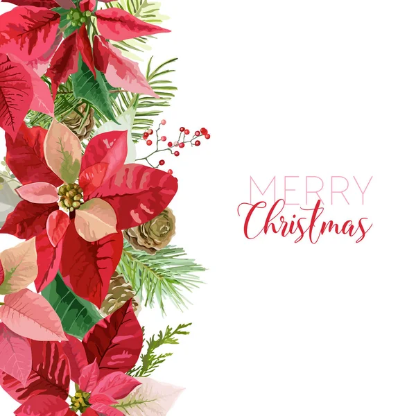 Christmas Winter Poinsettia Flowers Card or Background with place for your text in vector — Stock Vector