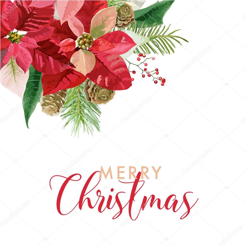 Christmas Winter Poinsettia Flowers Card or Background with place for your text in vector