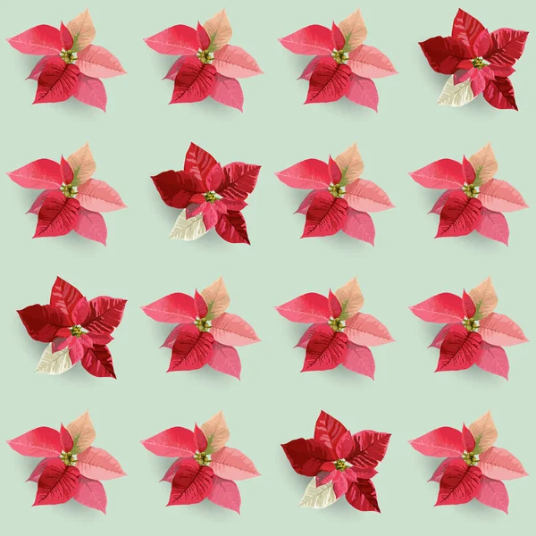 Noël hiver Poinsettia fleurs fond sans couture, motif floral imprimé dans le vecteur — Image vectorielle