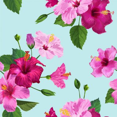 Tropikal mor Hibiscus çiçek Seamless modeli. Kumaş Tekstil, duvar kağıdı, dekor, kağıt ambalaj için çiçek yaz arka plan. Suluboya botanik tasarım. Vektör çizim