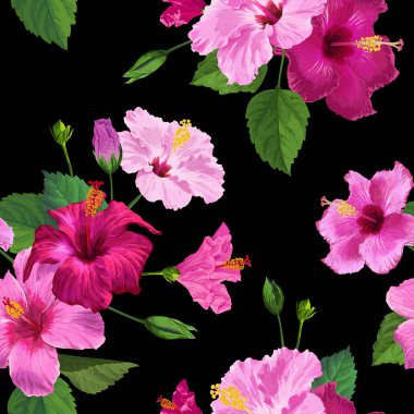 Tropikal pembe Hibiscus çiçek Seamless modeli. Kumaş Tekstil, duvar kağıdı, dekor, kağıt ambalaj için çiçek yaz arka plan. Suluboya botanik tasarım. Vektör çizim
