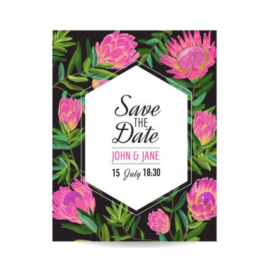 Pembe Protea çiçekler düğün davet şablonu. Tarihi çiçek kartı kaydetmek Selamlar, yıldönümü, doğum günü, parti bebek duş için. Botanik tasarım. Vektör çizim