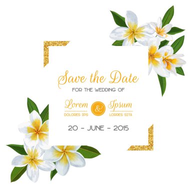 Plumeria çiçek düğün davet şablonu. Tropikal çiçek Tebrik Kartpostalı, doğum günü, yıldönümü için Tarih kartı egzotik çiçek romantik tasarım kaydedin. Vektör çizim