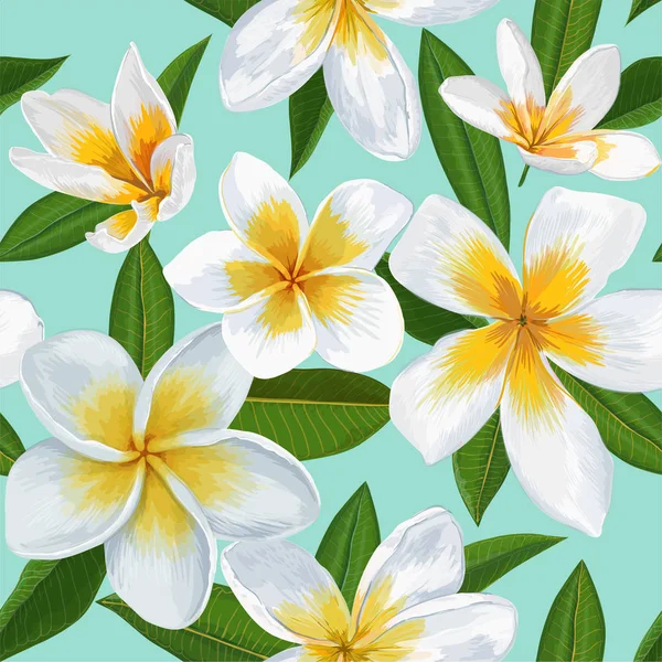 Tropische naadloze patroon met bloemen van de Plumeria. Florale achtergrond met Palm vertrekt voor behang, stoffen bekleding, zeewieren, decoratie. Vectorillustratie — Stockvector