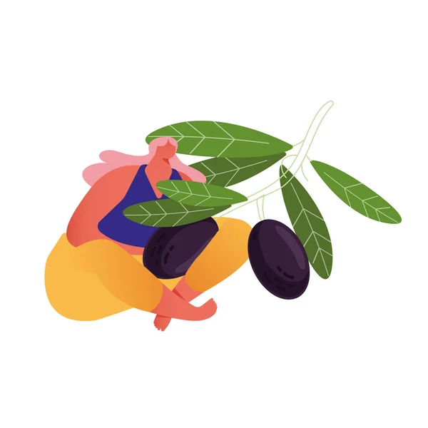 Mujer agricultora en rama con aceitunas maduras. Gardener Character Harvesting in Garden. Aceite vegetal ecológico saludable — Archivo Imágenes Vectoriales