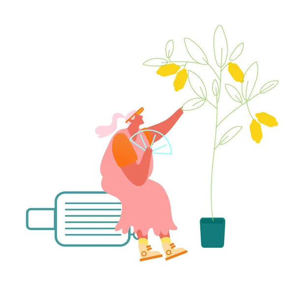 Senior Lady sedí na kufru pod Lemon Tree Fan sama Izolovaná na bílém pozadí. Stará žena cestuje do exotické cizí země Užívá si letní prázdniny. Cartoon Flat Vector Illustration — Stockový vektor