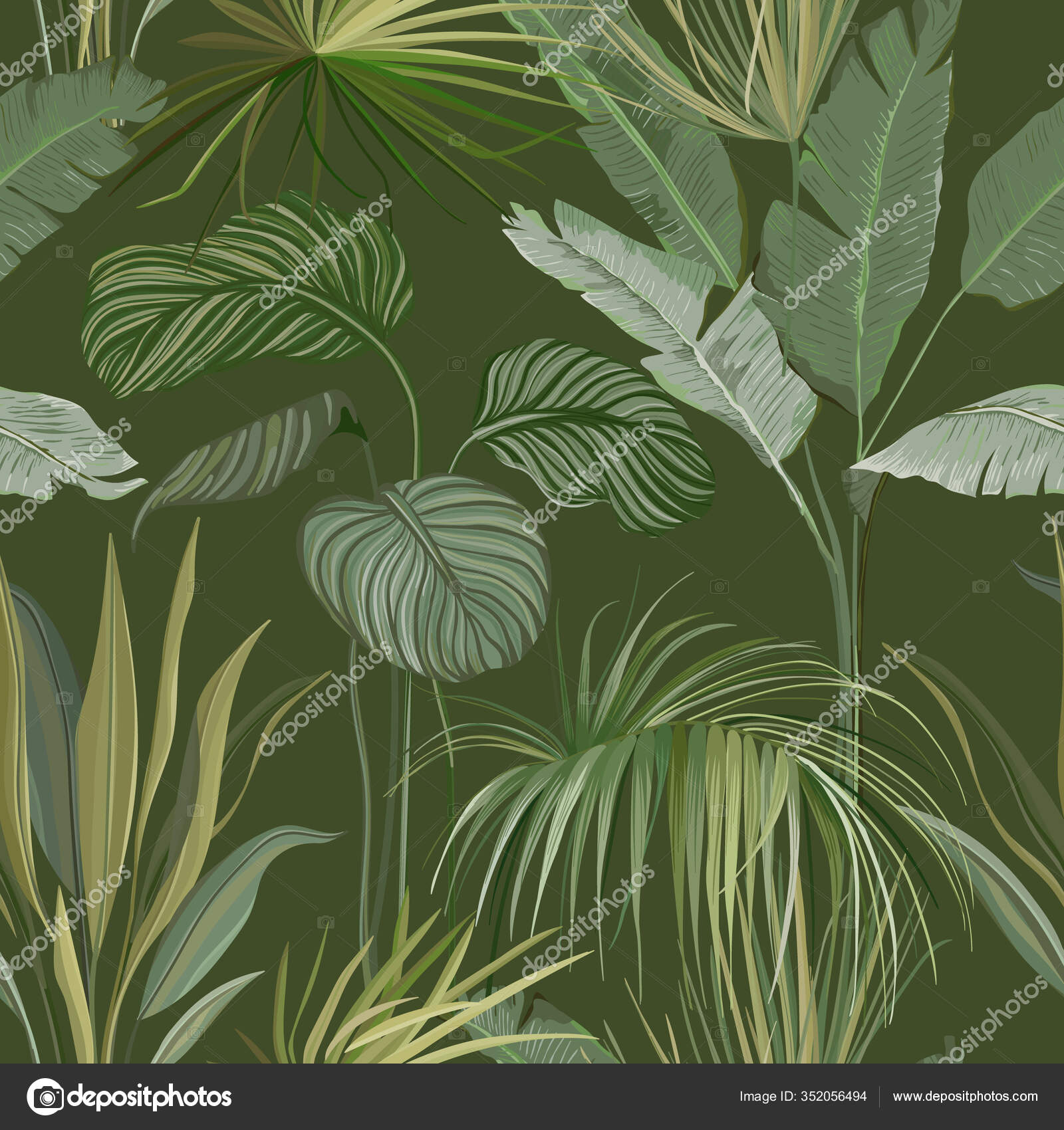 Seamless Tropical Botanical Background Floral Wallpaper Print With Exotic Philodendron Monstera Jungle Leaves Rainforest Plants Nature Ornament For Textile Or Wrapping Paper Vector Illustration Vector Image By C Woodhouse Vector Stock Seamless Tropical Botanical Background Floral Wallpaper Print With Exotic Philodendron Monstera Jungle Leaves Rainforest Plants Nature Ornament For Textile Or Wrapping Paper Vector Illustration Vector Image By C Woodhouse Vector Stock