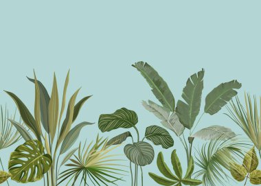 Kusursuz Tropikal Arkaplan, Egzotik Philodendron Canavarı Yaprakları, Yağmur Ormanı Bitkileri, Tekstil veya Ambalaj Kağıdı İçin Doğa Süslemesi, Botanik Vektör İllüstrasyonu