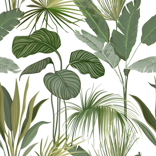 Seamless Tropical Floral Print with Exotic Green Jungle Philodendron Monstera Leaves on White Background (dalam bahasa Inggris). Rainforest Wild Plants Wallpaper Template, Natural Textile Ornament (dalam bahasa Inggris). Ilustrasi Vektor - Stok Vektor