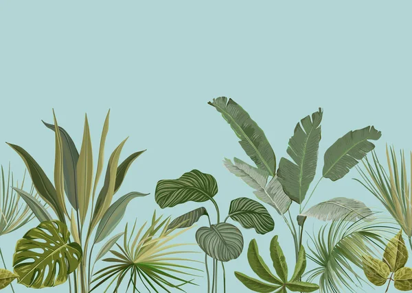 Bezešvé tropické pozadí, Květinová tapeta s exotickým filodendronem Monstera Jungle Leaves, Deštné pralesy Rostliny, Přírodní ornament pro textil nebo balicí papír, Botanické vektorové ilustrace — Stockový vektor