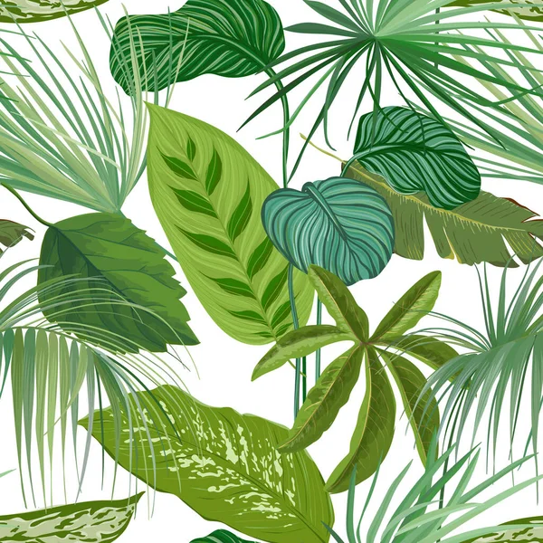 Green Tropical Leaves, Rainforest Decorative Wallpaper Ornament, Seamless Pattern or Botanical Background. Реалістичний Spathiphyllum Cannifolium Branches, Paper or Textile Print. Векторний приклад — стоковий вектор