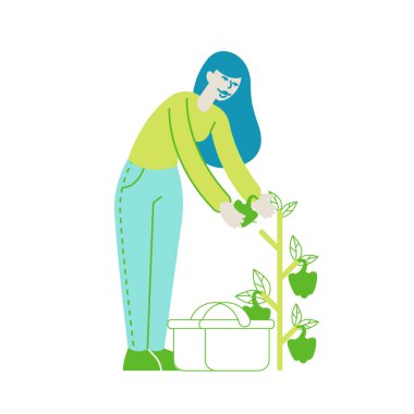 Happy Girl Gardening in Greenhouse or Garden Harvesting Bell Pepper to Basket. Woman Character Caring of Herbs and Plants in Orchard. Horticulture and Olericulture Hobby. Linear Vector Illustration clipart