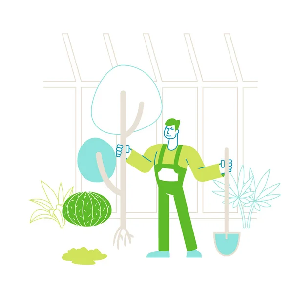 Farmer Man Carácter en overoles que trabajan en la excavación de jardines y el cuidado de las plantas en invernadero. Jardinero plantando árbol a tierra en casa caliente, hobby activo o trabajo. Ilustración de vectores lineales — Archivo Imágenes Vectoriales