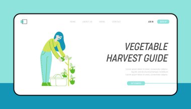 Bahçecilik ve Olerikultür Hobi İniş Sayfası Şablonu. Serada Kız Bahçesi ya da Bahçe Biber Ürünleri. Meyve Bahçesindeki Bitki ve Bitki Bakımı Kadın Karakteri. Doğrusal Vektör İllüstrasyonu