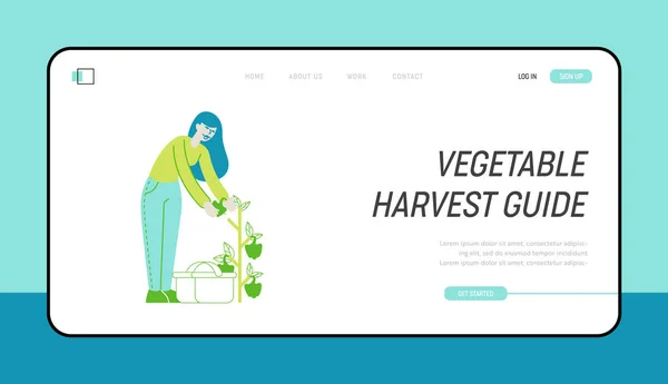 Kertészet és Olericulture Hobby Landing Page Sablon. Lány kertészkedés Greenhouse vagy Garden Harvesting Bell Pepper. A növények és növények női karaktere a gyümölcsösben. Lineáris vektor illusztráció — Stock Vector