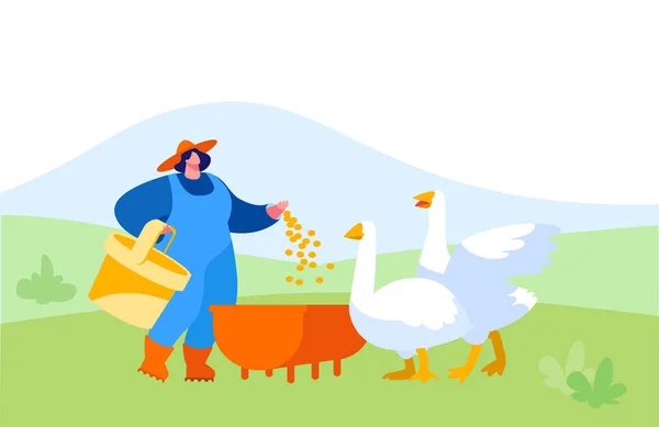 Young Woman in Working Robe Feeding Geese on Nature. agricultrice, personnage villageois au travail. Girl Care of Birds on Poultry Farm at Summertime, Agriculture, Farming. Illustration vectorielle de bande dessinée — Image vectorielle