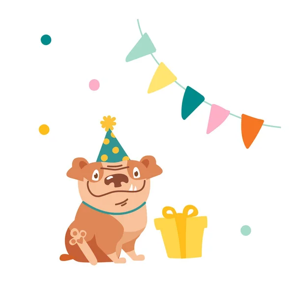 Słodki charakter psa świętować urodziny. Śmieszny buldog w świątecznym kapeluszu Siedząc przed owiniętym teraźniejszością w pokoju ozdobionym girlandą flagową i konfetti, Pet Got Gift Box. Ilustracja wektora kreskówek — Wektor stockowy