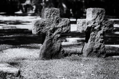 Alman askeri mezarlığı vladslo