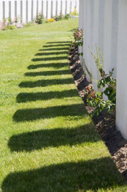 Tyne karyolası mezarlığı