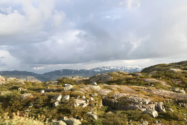 Saudavegen yol — Stok fotoğraf