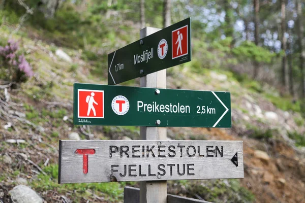 Preikestolen Cliff Hiking Trail — Stok fotoğraf