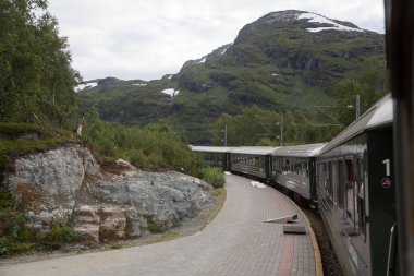 Flam tren