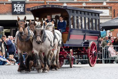 Ağır atları Lennik geçit töreni