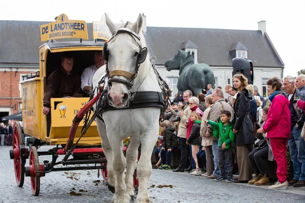 Ağır atları Lennik geçit töreni