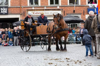 Ağır atları Lennik geçit töreni