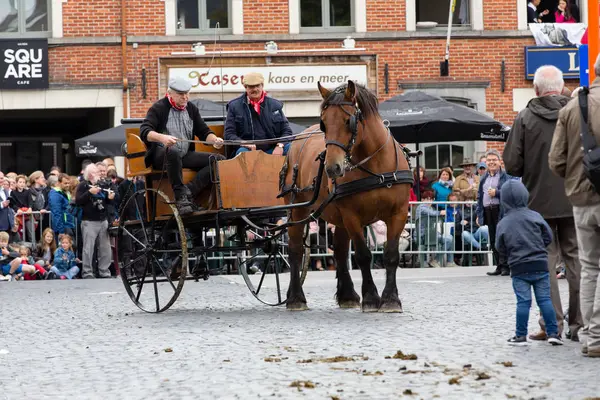 Ağır atları Lennik geçit töreni