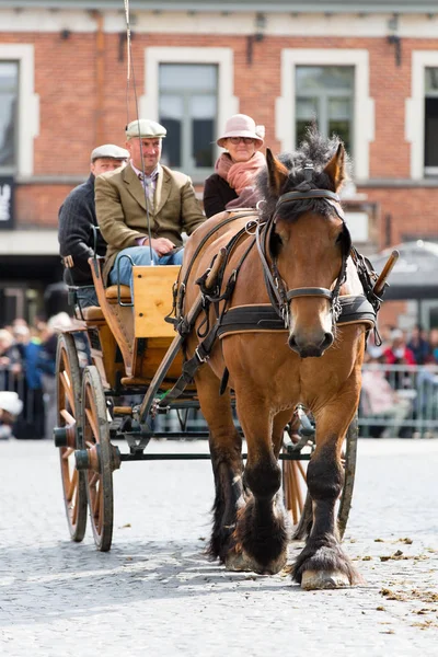 Ağır atları Lennik geçit töreni