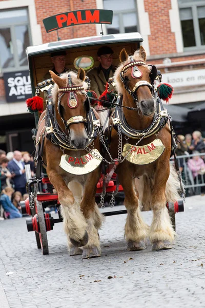 Heavy Horses Parade Lennik — Stock Photo, Image