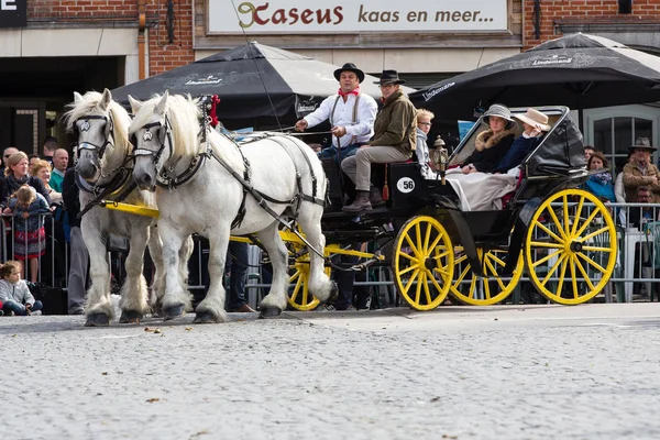 Ağır atları Lennik geçit töreni