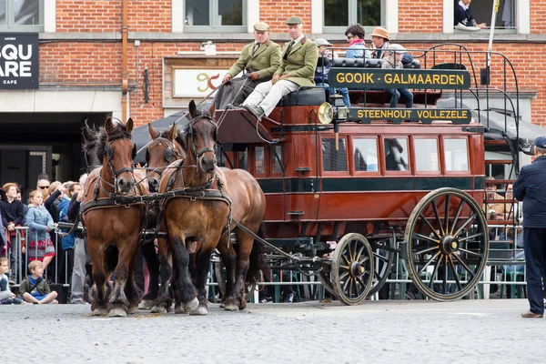 Cavalos pesados desfile Lennik — Fotografia de Stock