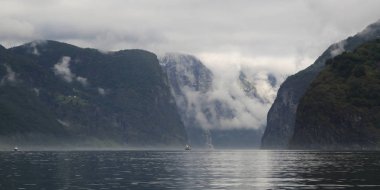 Naeroyfjord ve Aurlandsfjord