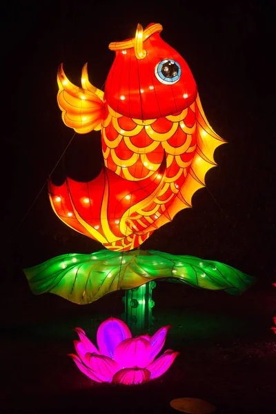 Chiny światła Zoo — Zdjęcie stockowe