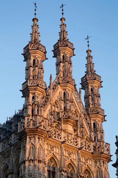 Belediye Binası Leuven — Stok fotoğraf