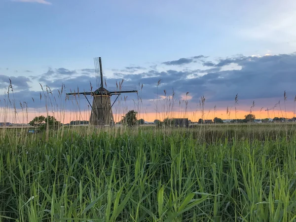 Les moulins de Kinderdijk — Photo