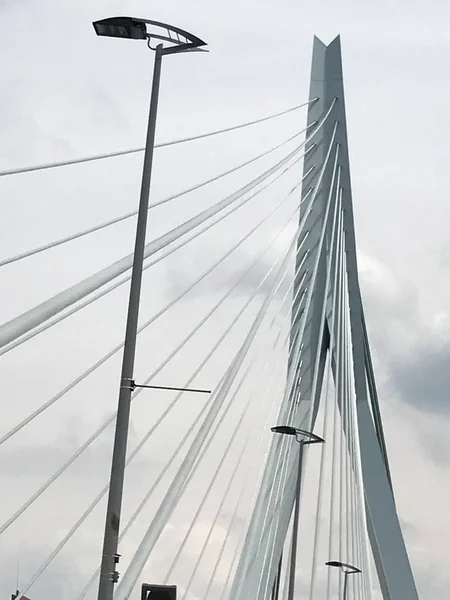 桥接鹿特丹伊拉斯莫斯 — 图库照片